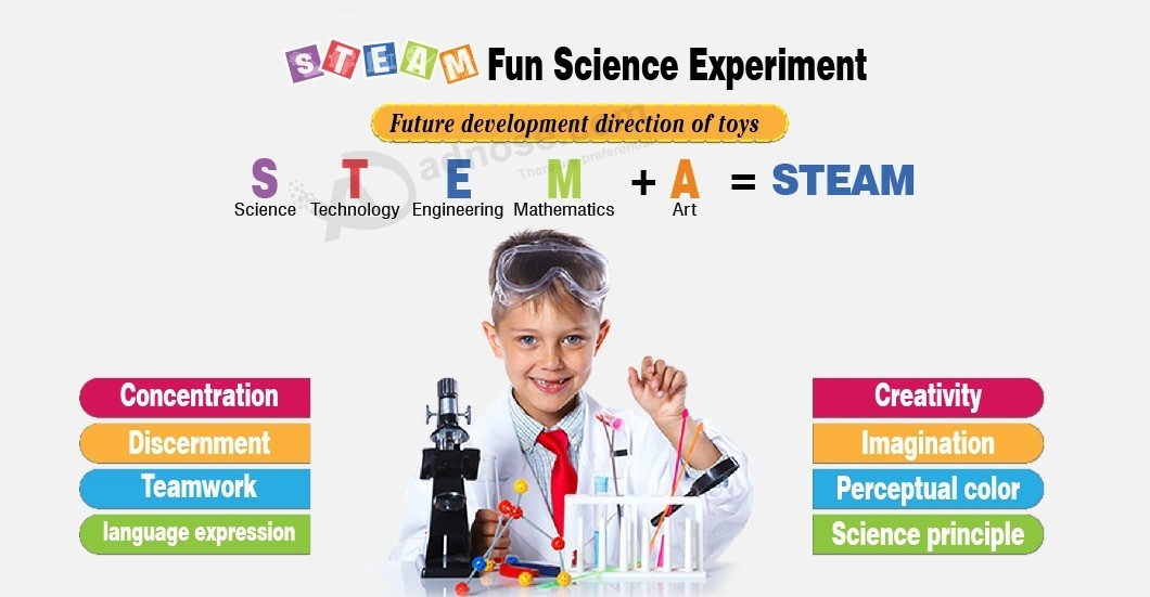 Kit educativo personalizzato per bambini che giocano a giocattoli scientifici per l'istruzione scolastica