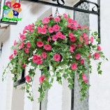 62cm Plastik Winde Blume billige künstliche Blumenarrangements für die Heimdekoration