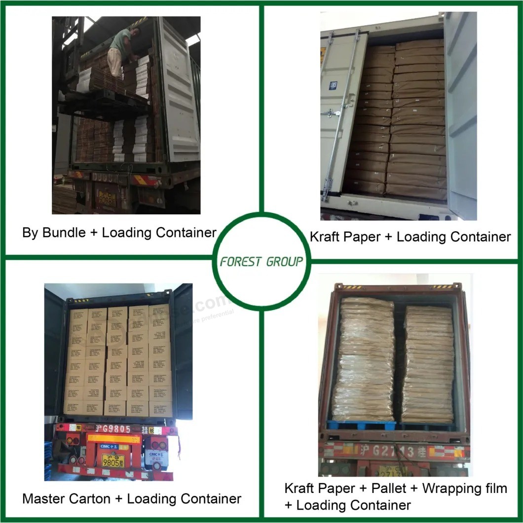 Cheap sale Folding shipping Carton Box