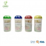 1000PCS Bambou Naturel Cure-Dent 12 Bouteille Distributeur Maison Fête Cocktail