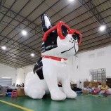 Novo modelo de cão inflável de cão inflável gigante com óculos de sol para publicidade