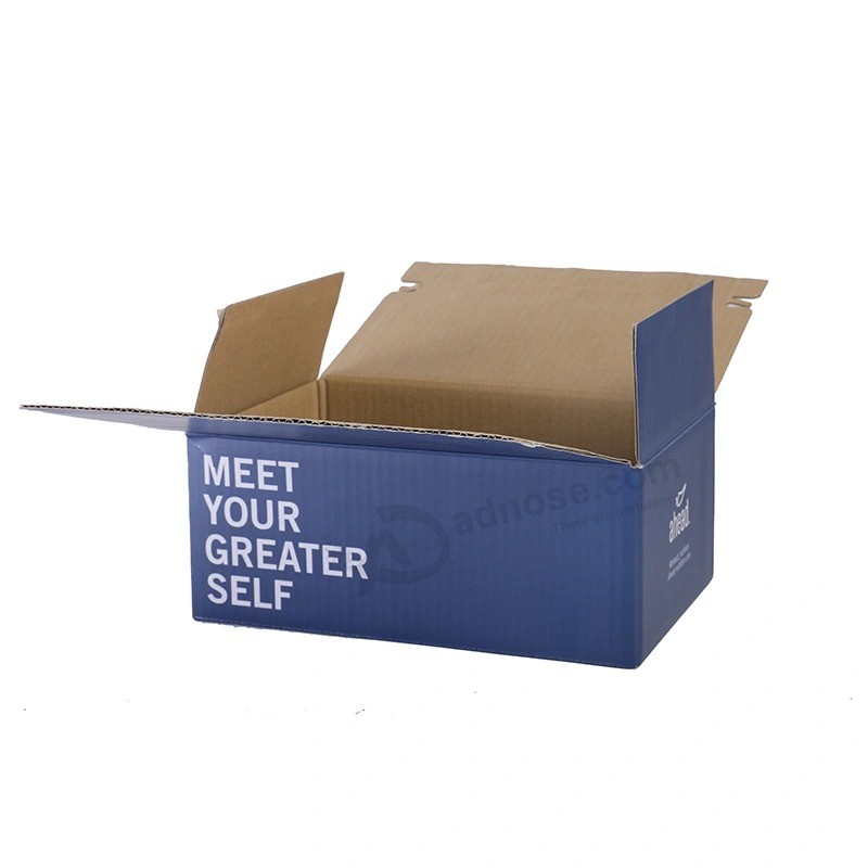 China Factory Eco Friendly Clothes Packaging Corrugated Shipping Box with Custom Logo