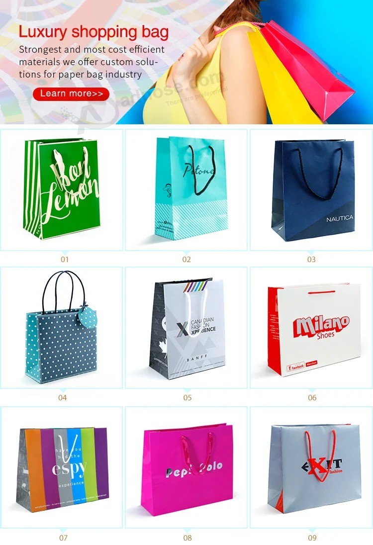 Top Quality Custom Logo Print Paper Shopping Bag for Clothing