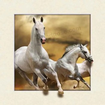 3D 5D Poster 5D Picture Printing voor decoratie