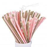 Disposable Bamboo Custom Logo Print Paper Drinking Straw