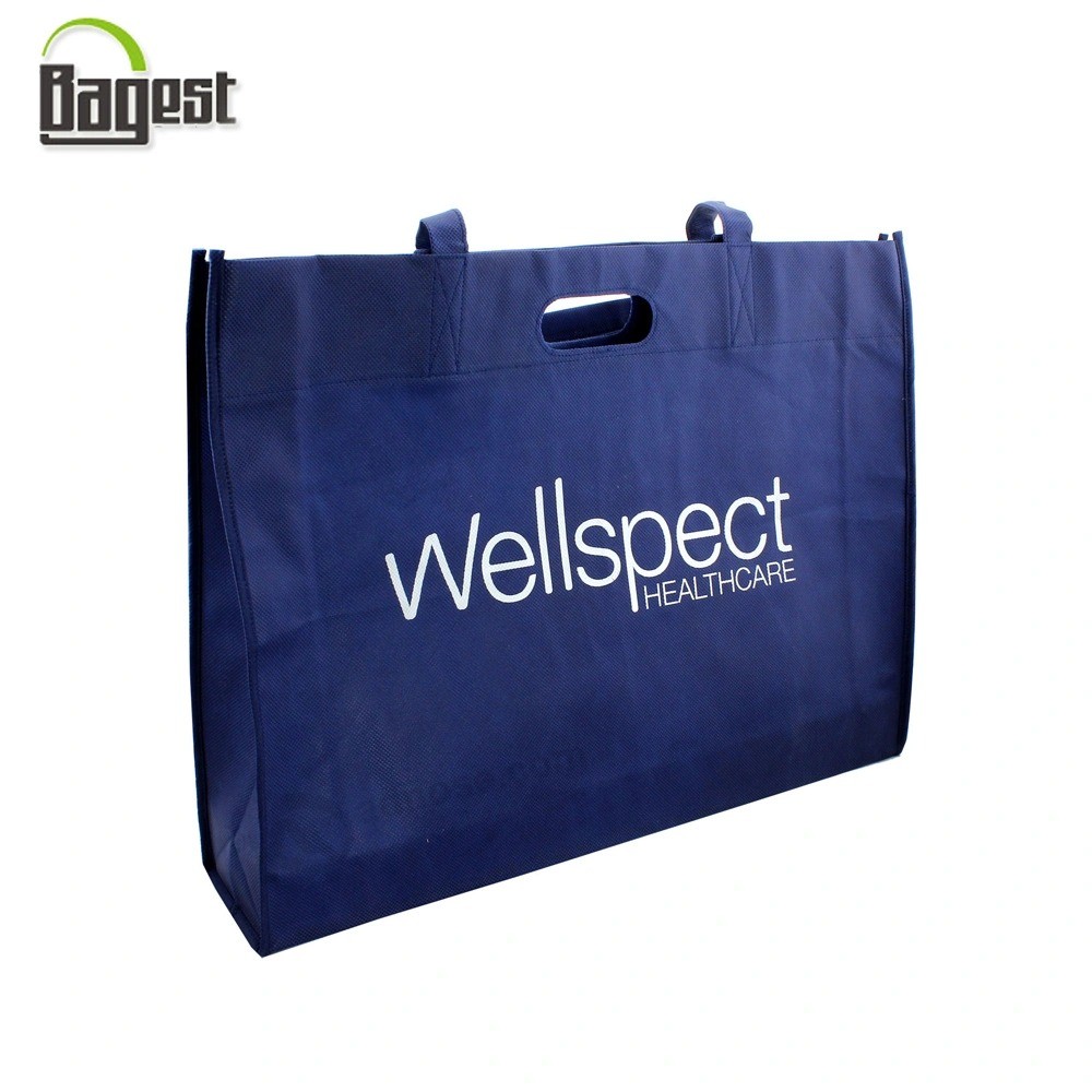 100/120/140/GSM Cheap Printed Promotional Gift Shopping Tote PP/TNT/PLA/Bamboo Non Woven Bag