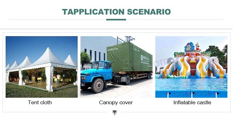 Logo Printed PVC Tarpaulin Customized Cargo Trailer/Truck/Cargo Cover