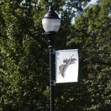 Esterno in lega di alluminio Branding Street Lamp Pole Flag Banner Hardwae (BS70)