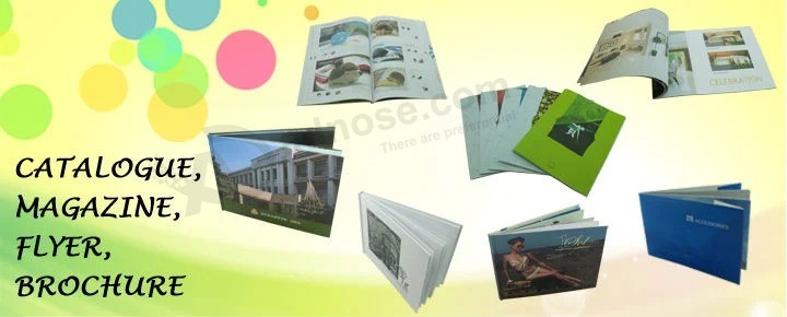 Promotion Custom Printing Gift Paper Packaging Bag