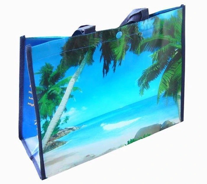 D-Cut Foldable Non Woven Bag for Shopping and Promotion