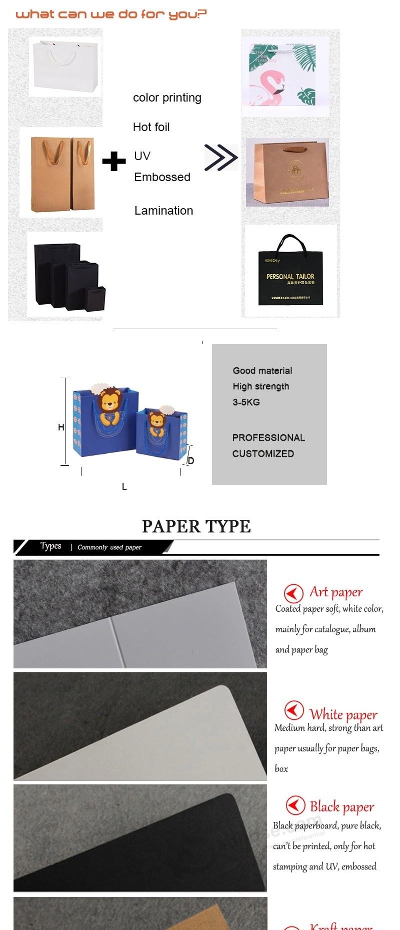 Gift Bag Customize Clothing Packaging Custom Shopping Paper Bags Manufacturer