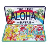 Placa de matrícula personalizada de 6 
