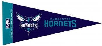 Charlotte Hornets, confezione da 8 mini gagliardetti, 4 x 9 pollici, feltro