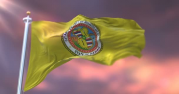 Venta al por mayors bandera de Honolulu de nailon personalizado 3 pies x 5 pies