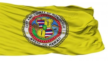Chinese fabrikant groothandel aangepaste Honolulu-vlag