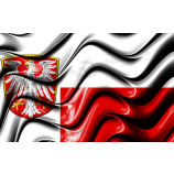 Hot sale customized Frankfort flag with all sizes