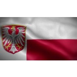 3x5ft screen printing Frankfort flag 90x150 cm polyester with high quality