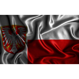 Heißer Verkauf hochwertige Frankfort Flagge mit jeder Größe