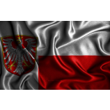 Hete verkoop hoge kwaliteit Frankfort-vlag met elke maat