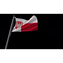 Chinesische Lieferanten Passen Sie Werbe-Frankfort-Flagge aller Größen mit bestem Preis an