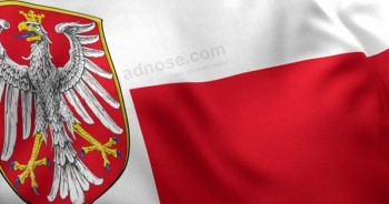 Chinesische Lieferanten passen die Frankfort-Flagge in allen Größen an