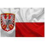 Factory Direct sales high-end Frankfort flag with any size