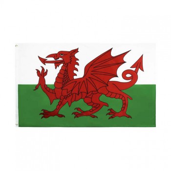 1 stuk beschikbaar Klaar om te verzenden 3x5 Ft 90x150cm Wales nationale vlag