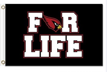 Arizona For Life Sports 축구 깃발 배너 3X5 FT