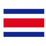 日本人ワシントンナショナルズタイ国旗