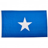 Drapeau national somalien Tissu polyester Drapeau somalien personnalisé