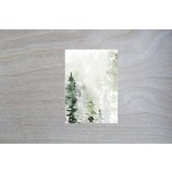 Inspirations Religieuze Vrolijke Kerstkaart met boodschap aan de binnenkant. Inclusief 25 kaarten en enveloppen (Green Tree)