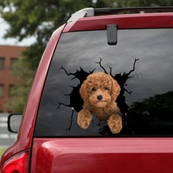 Goldendoodle Crack Autocollant Idées Drôle, Décalcomanies Pour Voiture Cadeau D’anniversaire Pour Femme