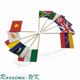 SET 50 MINI Toothpicks Cupcakes Flags Mini Flags Celebrations Parties Party