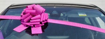 BIG CAR BOW - メガジャイアント 車用特大弓、バースデープレゼント、XMASギフト