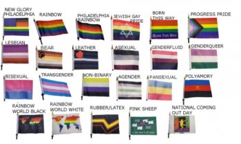 Pride Hand Flags LGBT Rainbow Gay Trans Queer Bi Bear Progress Asexual