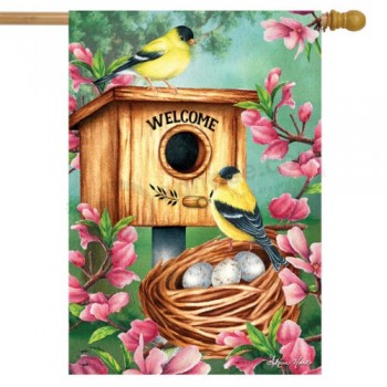 Un occhio vigile primavera casa bandiera cardellini nido 28