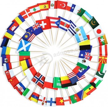 100 Different Countries Toothpick Flag - Vivid Double Sided Print & Solid Smooth Pick