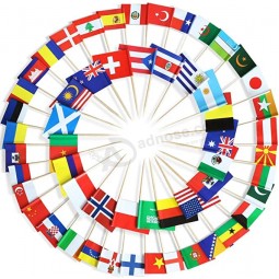 Zahnstocher-Flagge aus 100 verschiedenen Ländern - lebendiger doppelseitiger Druck und solides, glattes Plektrum