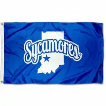Nationalflagge Werbung Display Flagge Polyester bedruckt benutzerdefinierte Flagge