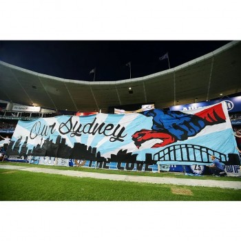 Événement sportif de football géant personnalisé Grande foule surfeur bannière Drapeaux