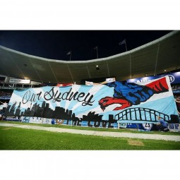 Personalizzato gigante di calcio sport evento grande folla surfer banner bandiere
