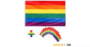 Commercio all'ingrosso Progress Pride Hand Bands Pride Flag Poliestere Lgbt Rainbow Progress Pride Stick Flags