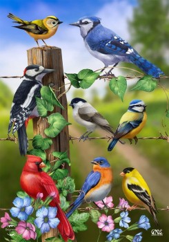 Briarwood Lane Country Birds 봄 집 깃발 Goldfinches 블루 제이 28
