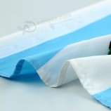 2 Pack Car Flags,Car Flag Guatemala Flag Outdoor with Guatemalans Flag and Car Flag Pole, Car Logo Window Clip Can be Clipped to Most Windows