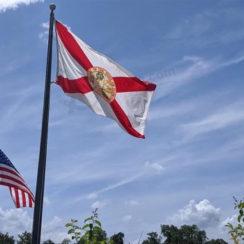Bradford ricamato Florida bandiera 5x8 ft Made in USA, colori vivaci Florida State Bandiere per esterni Heavy Duty
